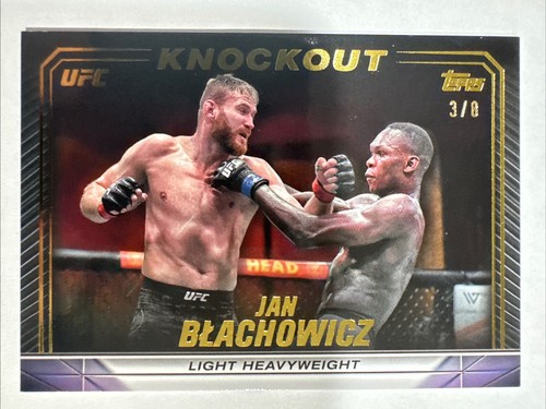 Jan blachowicz 2024 knockout - blachowicz,
