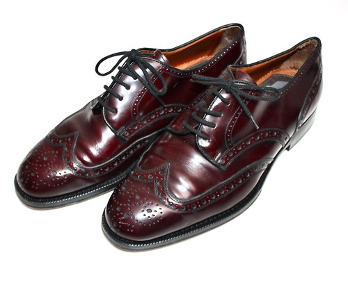 Jan baran brogue - jan, scarpe
